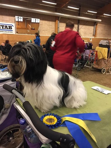 Ellinor Sundsvall 1:a Cert