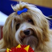 Tucker