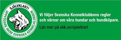SKK
