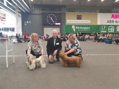 Semdstj&auml;rns Ulf och Smedtj&auml;rns Vilda Junior vinnare