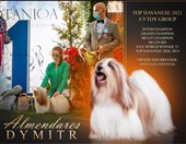 Almendares Dymitr 