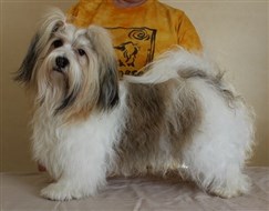 Milo