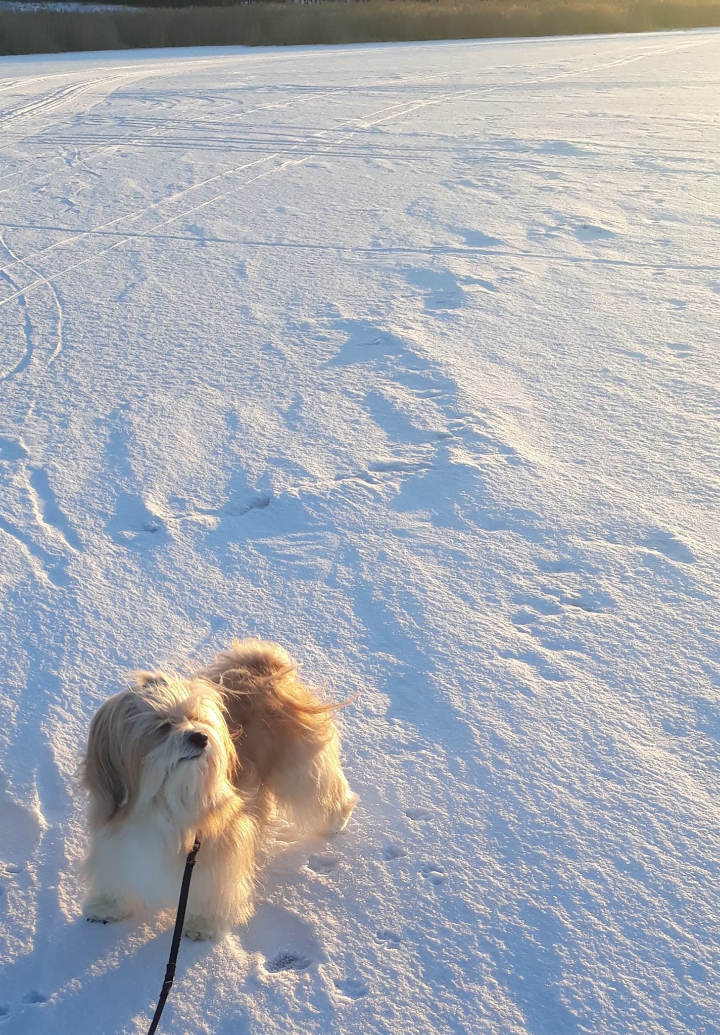 20210213_161843.jpg