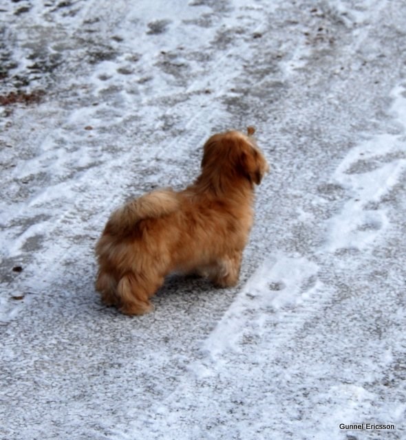 DSC_0074.JPG