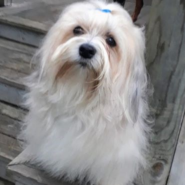 Gerry 2019-08.jpg