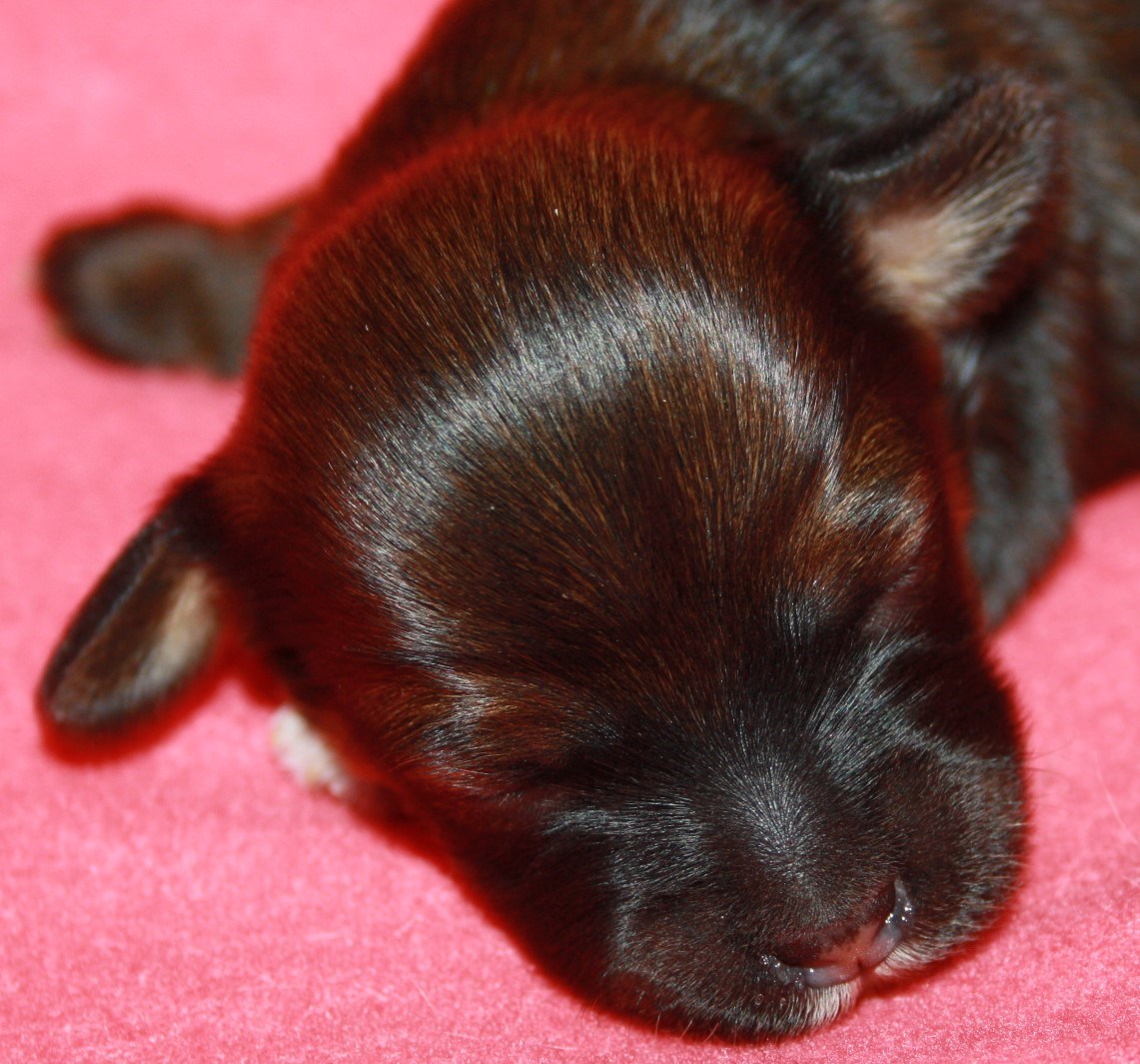 IMG_5972 Tik 2  1 v Hem.JPG