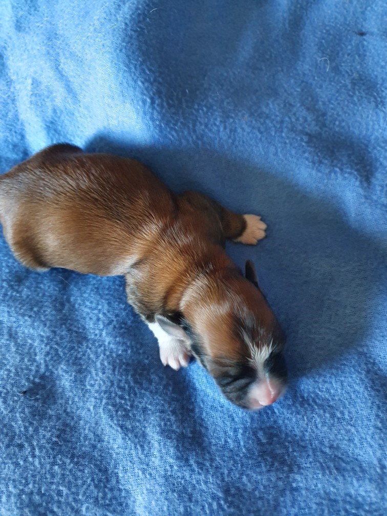Hane1_ TiaMore_20210605_175352.jpg