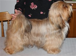 King Mano Pupsiukas