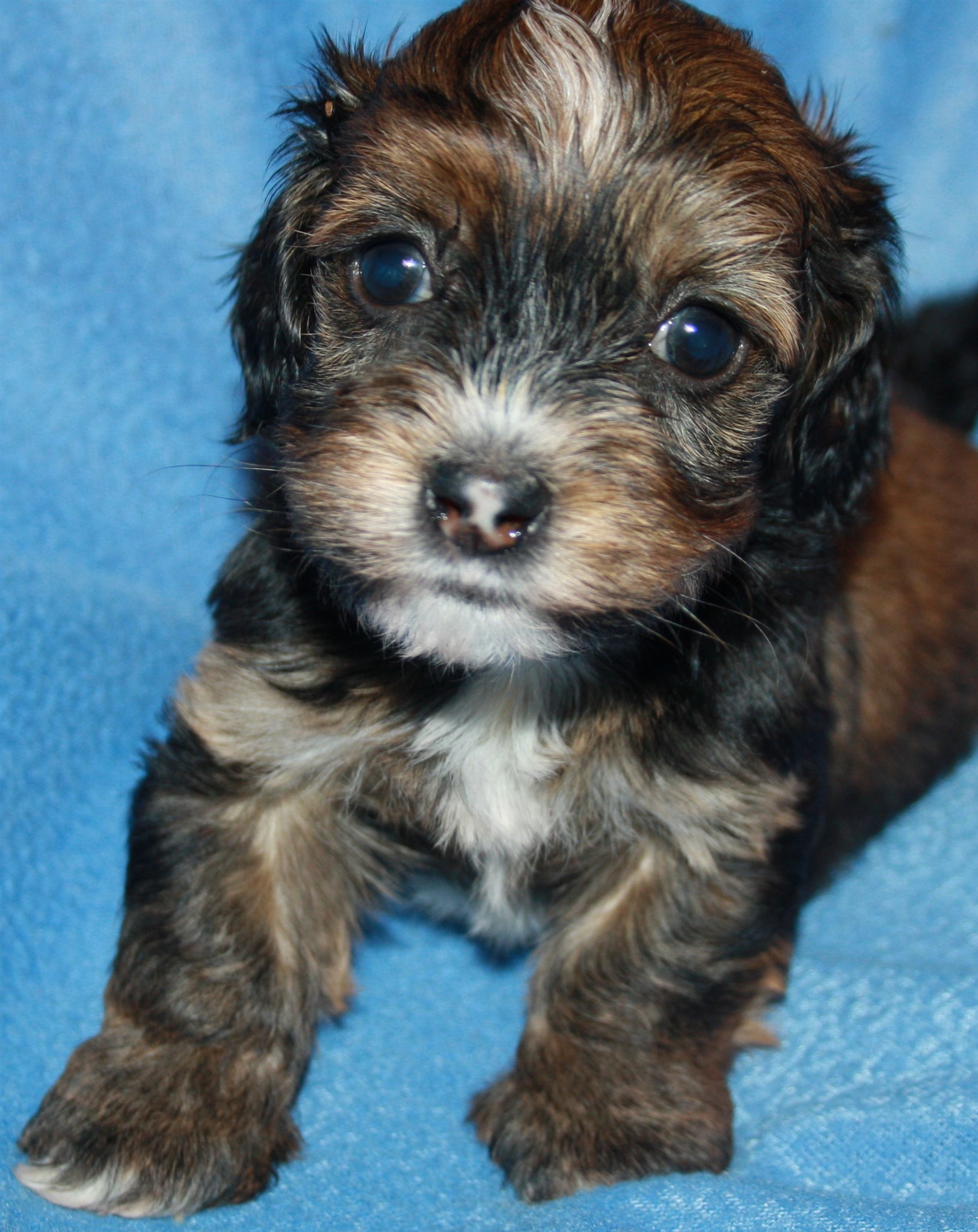 IMG_9111.JPG