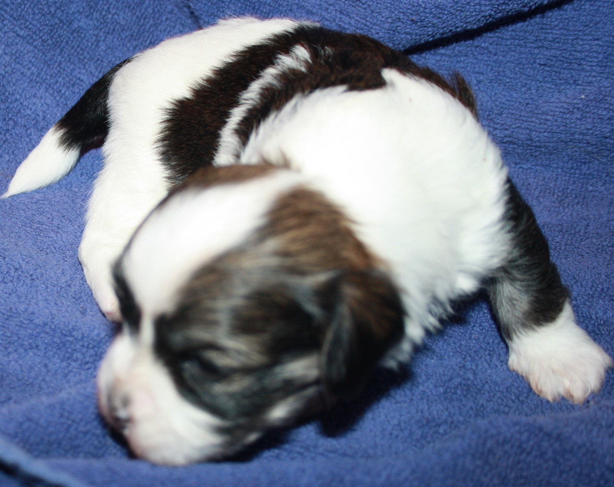 2023-10-14 19.51.04 Zune 3 v.jpg