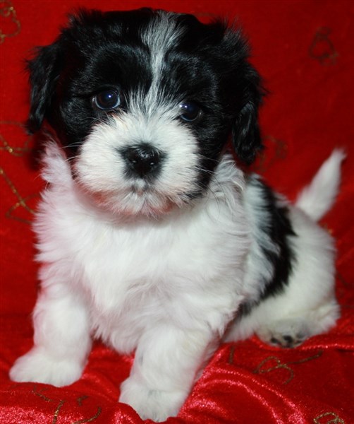 Ellinor Bodel 005hs.JPG