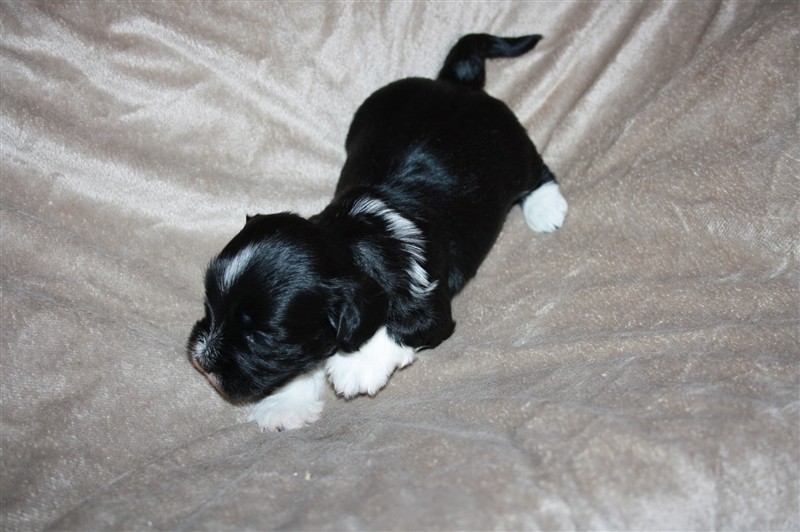 elvira  3 v 001.JPG