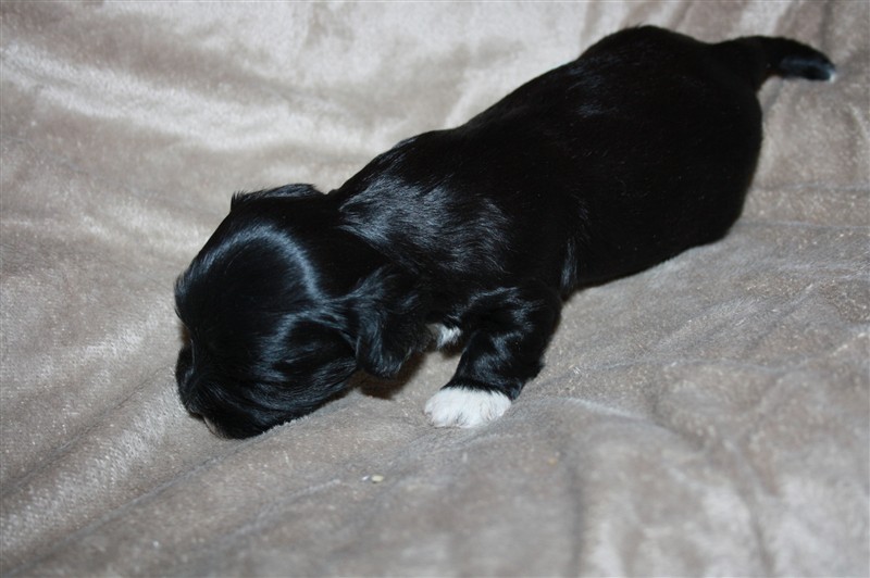 edith h 3 v 013.JPG