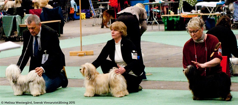 Irma Kista utställning 150407.jpg
