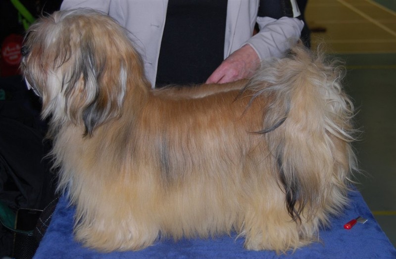 Irma sida 150110.JPG