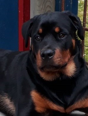 20181107_Arrac 7 mån.jpg