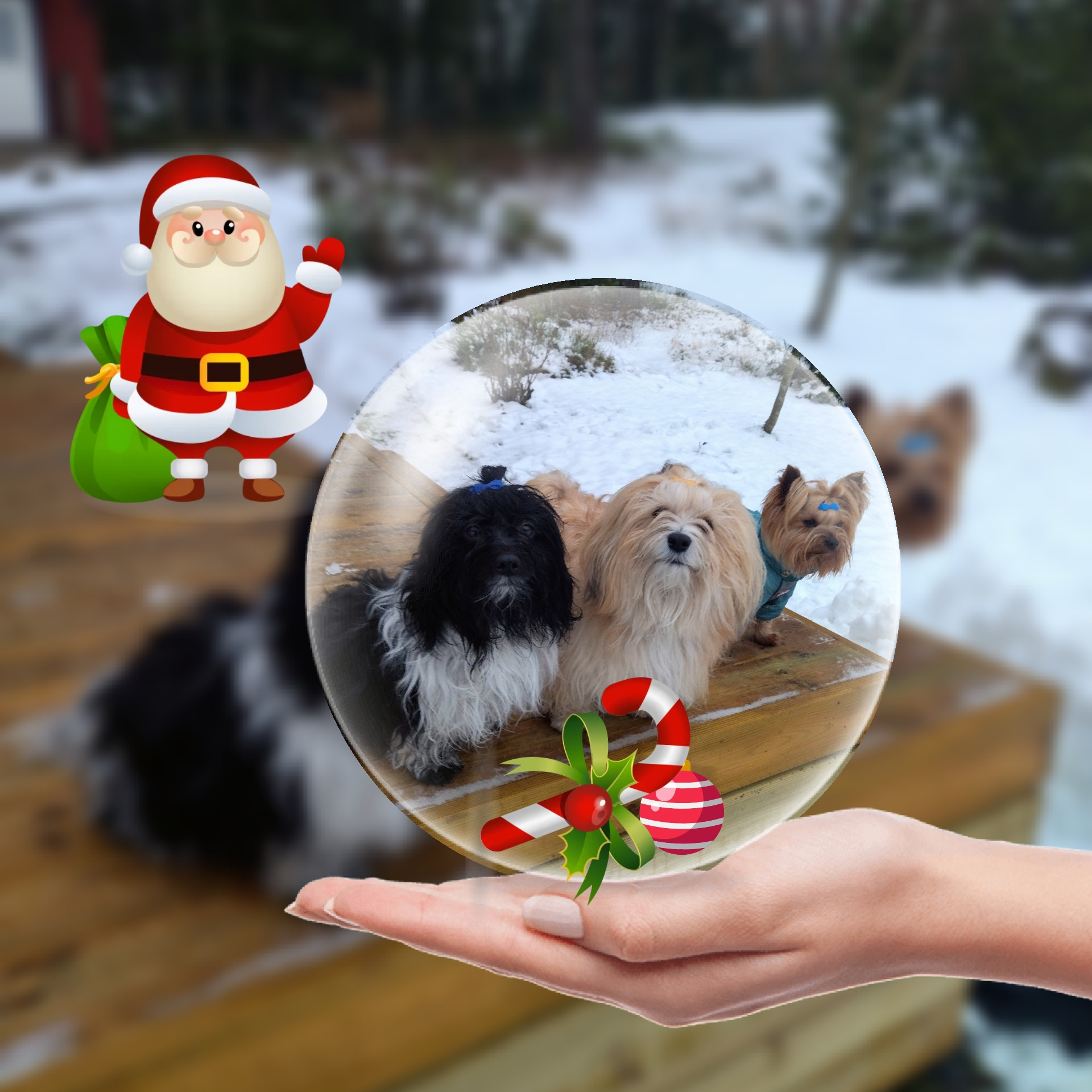 Alla tre_2021-12-23_10-33-50.png