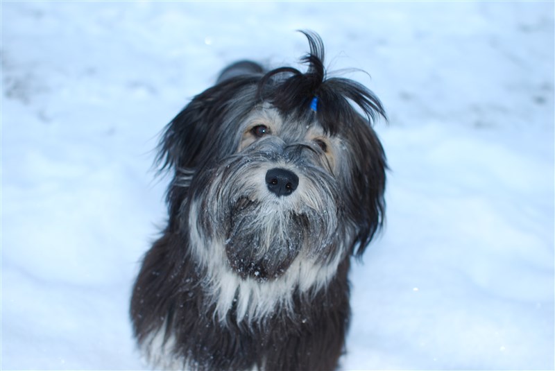 DSC_0070.JPG