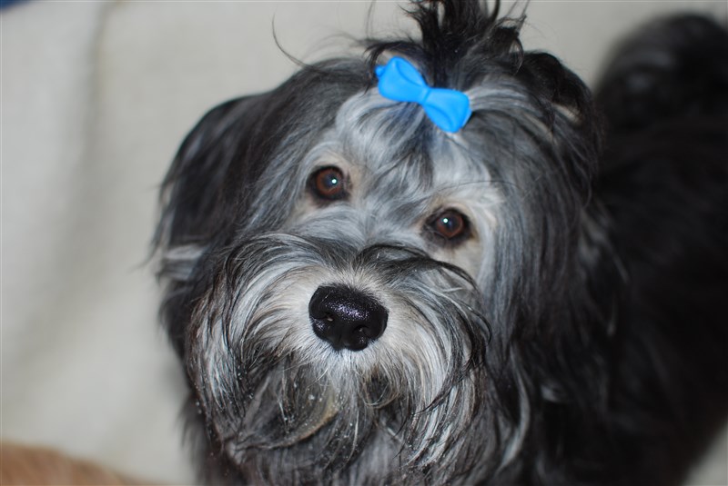 Zack 2012-12-09.JPG