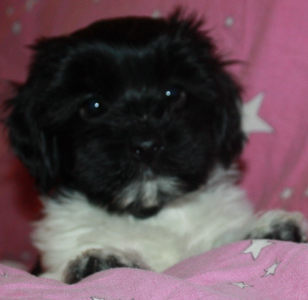 Eddie 041.JPG