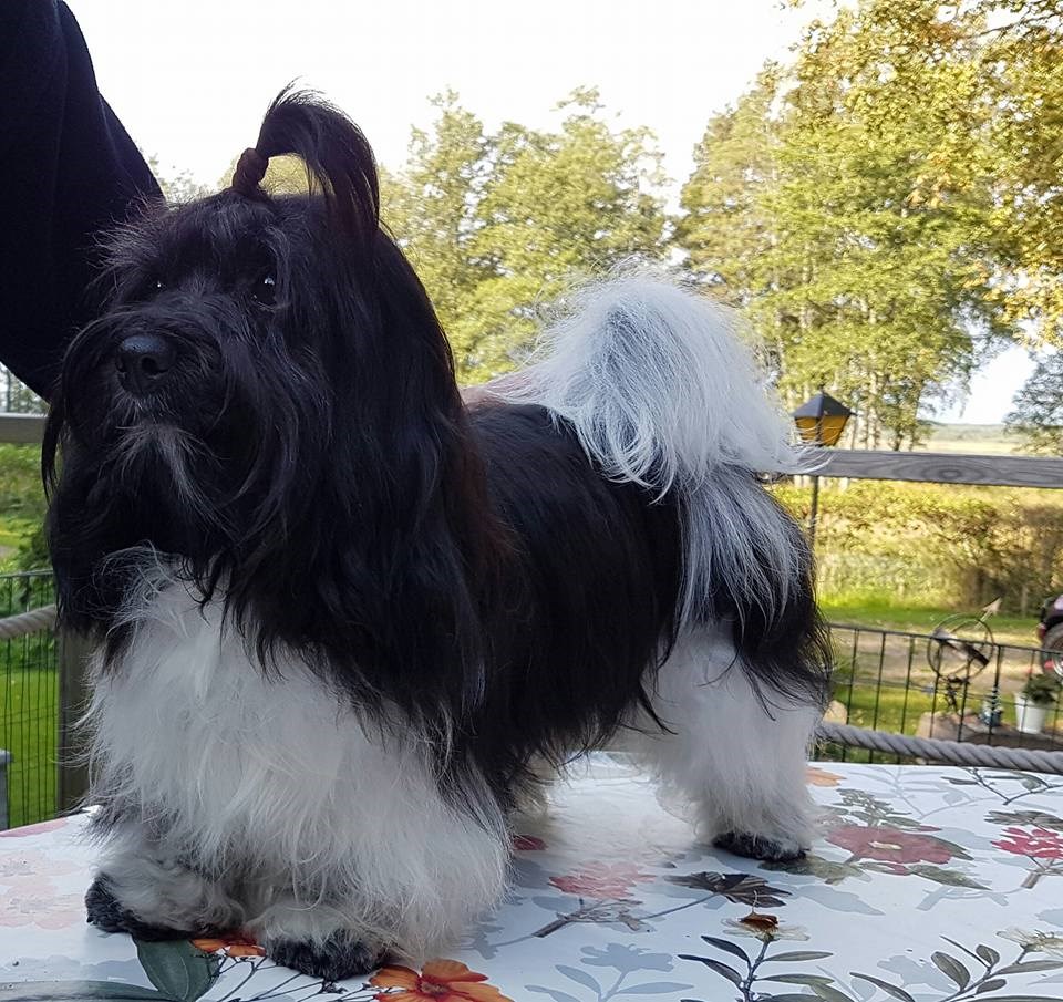 Eddie 160918.jpg