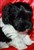 Eddie Meduza 010hs.JPG