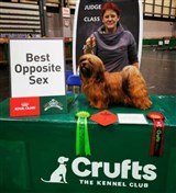 Wawuschelwalds Image of Hot Fire