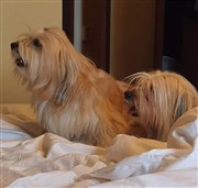 Kärlek Hirma & Gerry